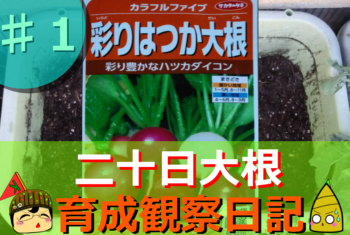 Thumbnail of post image 026